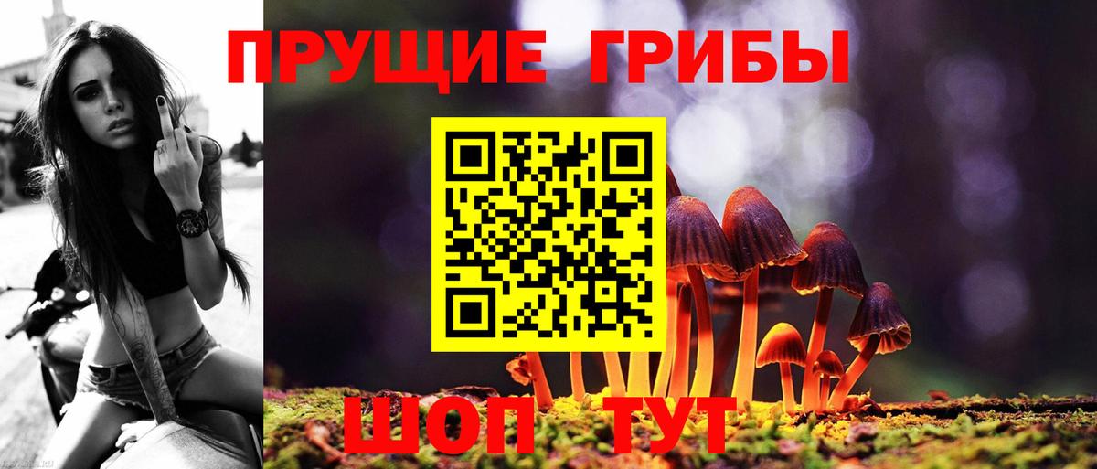 Псилоцибиновые грибы Magic Shrooms  Вход с VPN  Мариинск 